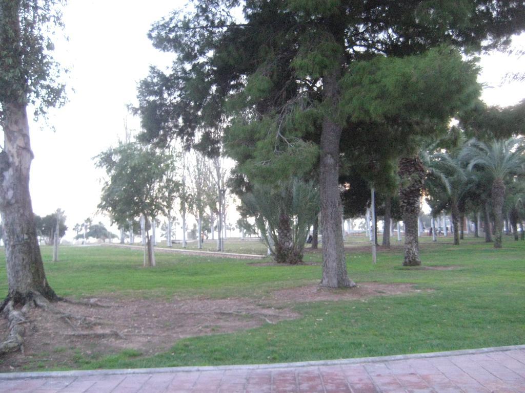Apartamento Illa Mar Sant Carlos de la Ràpita Εξωτερικό φωτογραφία